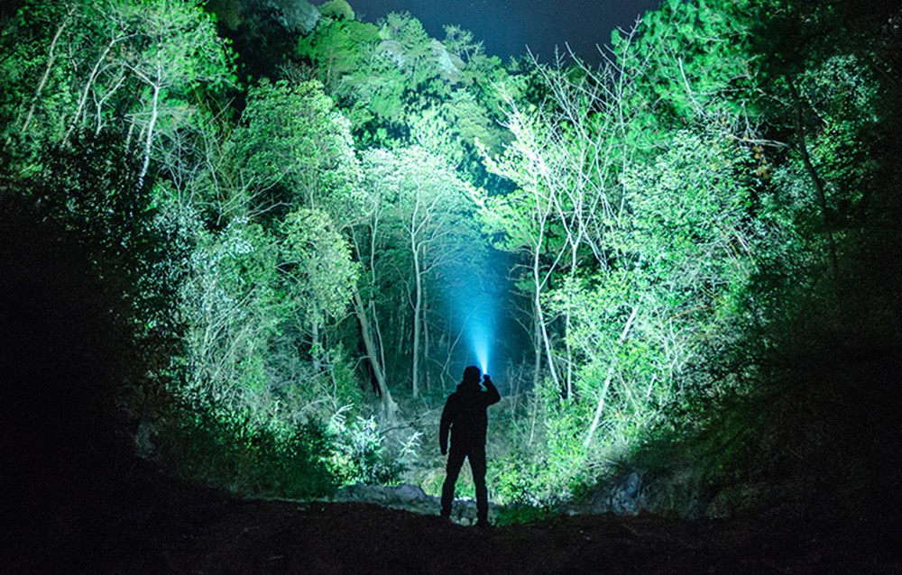 Σιλουέτα ατόμου με φακό που φωτίζει ένα δασικό μονοπάτι με μπλε φως τη νύχτα