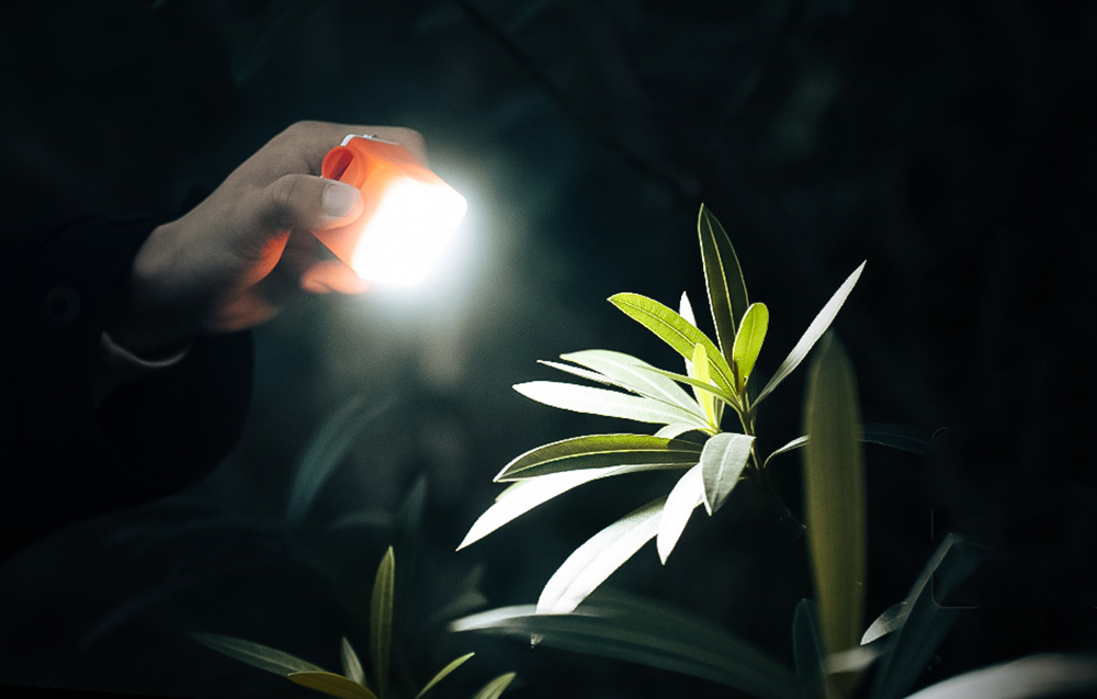 Χέρι που κρατά τη Nano Pump, η οποία χρησιμεύει ως φακός για να φωτίζει ένα φυτό στο σκοτάδι