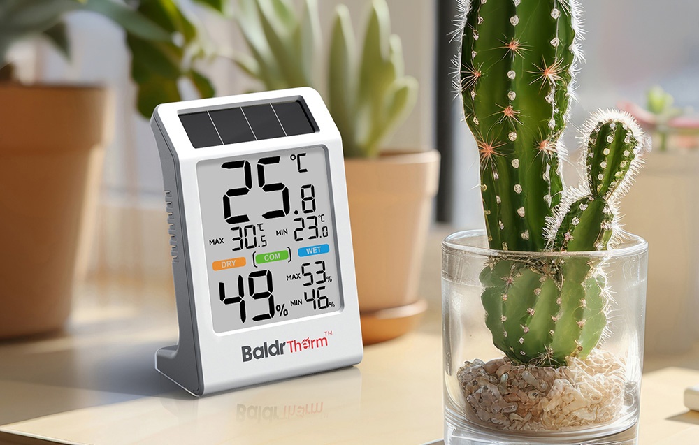 Θερμοϋγρόμετρο Rainpoint BALDRTHERM πάνω σε ένα τραπέζι δίπλα σε έναν κάκτο